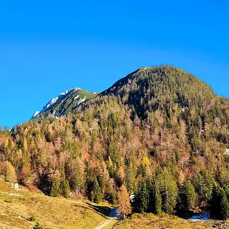 Alpine Auszeit Am Wilden Kaiser シェッファウ・アム・ヴィルデン・カイザー