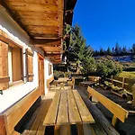 Alpine Auszeit Am Wilden Kaiser شقة شيفو أم فيلدن كايزر