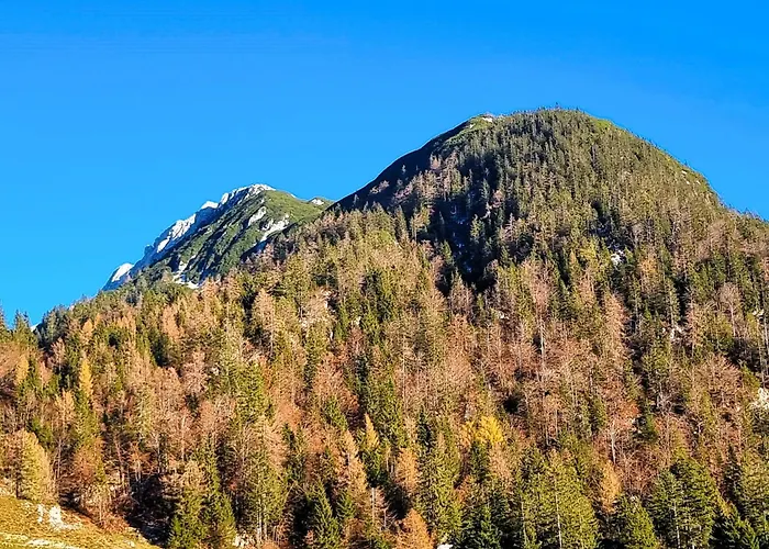 Alpine Auszeit Am Wilden Kaiser Scheffau am Wilden Kaiser